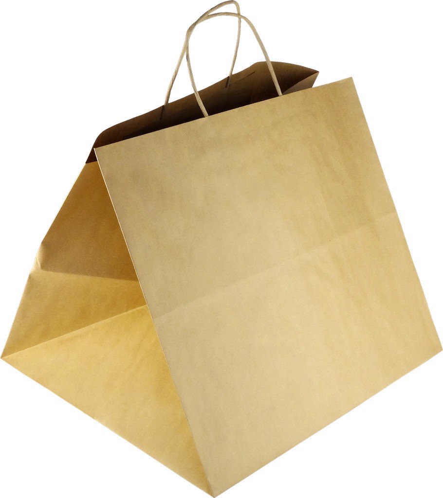 PS113G001 Papiertasche mit Papierkordel EKO PLUS braun glatt - PIZZABAG / SUSHI BAG