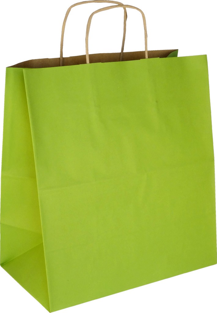 PS306G081 Papiertasche mit Papierkordel EKO PLUS hellgrün