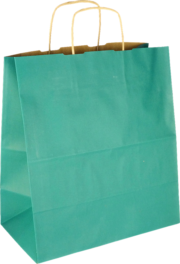 Papiertasche mit Papierkordel EKO PLUS grün