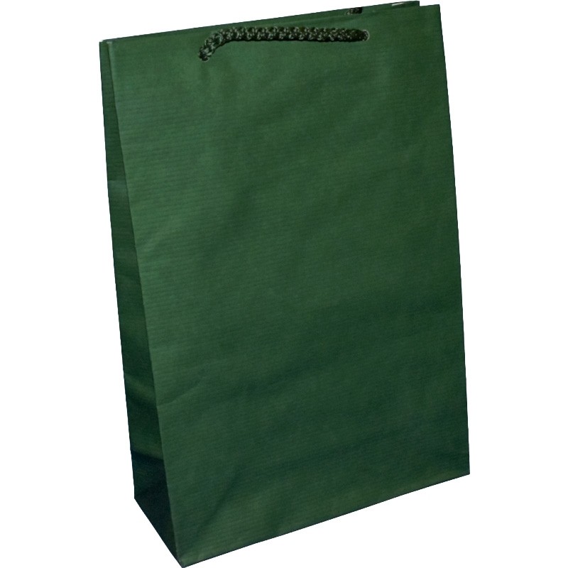PR302R077 - Papiertasche EKO PRESTIGE mit Textilkordel, grün